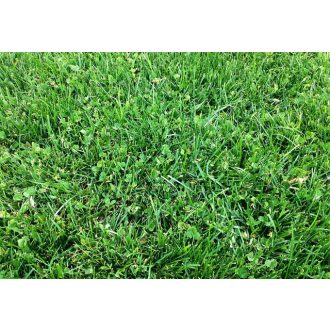 eurogreen-mikrohere-2-5kg