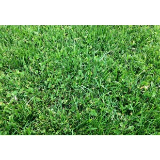 eurogreen-mikrohere-2-5kg