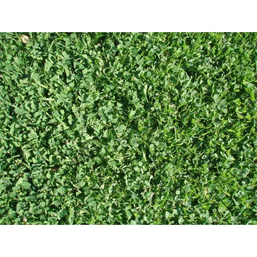 eurogreen-mikrohere-2-5kg