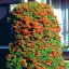 Pyracantha 'Orange Glow' - öreg, törött cserepes K5 – Díszcserjék
