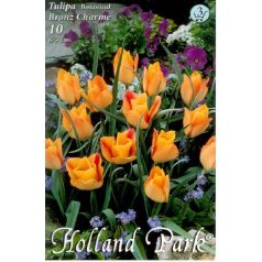   Tulipa batalinii Bronz Charme / Botanikai tulipán 10 db (LA)