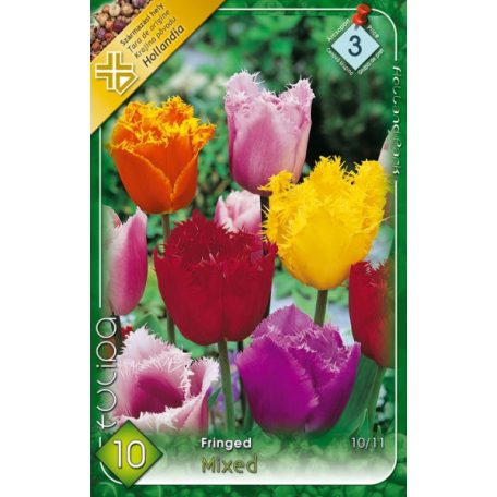 Tulipa Crispa Fringed mix / Tulipán rojtos szirmú mix 10 db