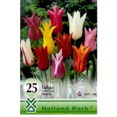   Tulipa Lilyflowered mix 25 db / Tulipán Liliomvirágú mix 25 db (LA)