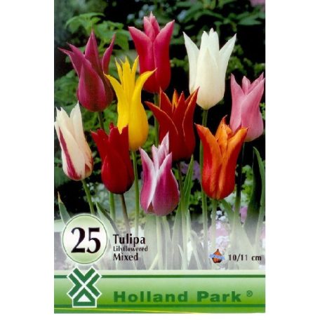 Tulipa Lilyflowered mix 25 db / Tulipán Liliomvirágú mix 25 db (LA)