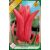 Tulipa Marietta / Tulipán Marietta 10 db (LA)