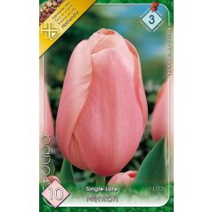   Tulipa Menton / Egyszerű virágú késői tulipán 10 db (LA)