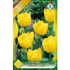 Tulipa Monte Carlo / Teltvirágú korai tulipán 10 db (LA)