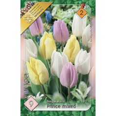   Tulipa Prince mix trio / Egyszerű virágú korai tulipán 9 db (LA)