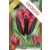 Tulipa Slawa / Triumph tulipán 8 db (LA)