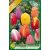 Tulipa Triumph mix / Triumph tulipán színkeverék 10 db (LA)