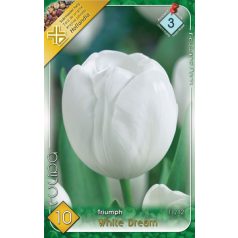 Tulipa White Dream / Triumph White/ tulipán 10 db (LA)