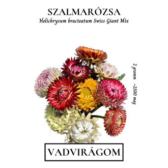 Szalmarózsa (Helichrysum bracteatum Swiss Giant ) 