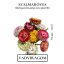 Szalmarózsa (Helichrysum bracteatum Swiss Giant ) (vetőmag) – Palántázás