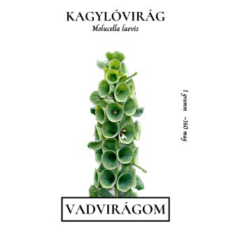 Kagylóvirág (Molucella laevis) (vetőmag) – Palántázás