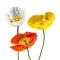 Izlandi pipacs (Papaver nudicaule Victory Giants) 