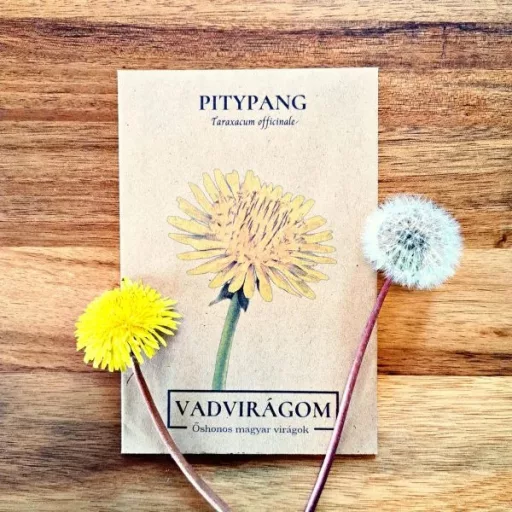Pitypang (Taraxacum officinale)