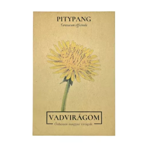 Pitypang (Taraxacum officinale)