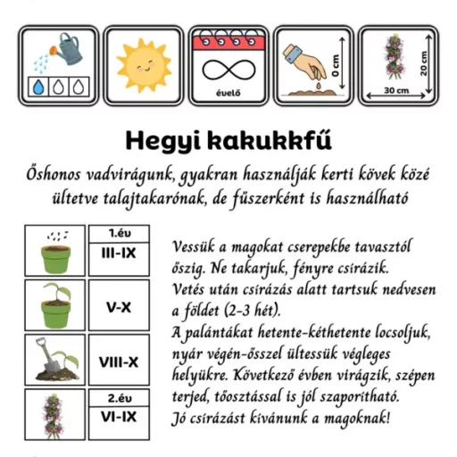 Hegyi kakukkfű (Thymus pulegioides)