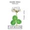 Fehérhere 100g (Trifolium repens)