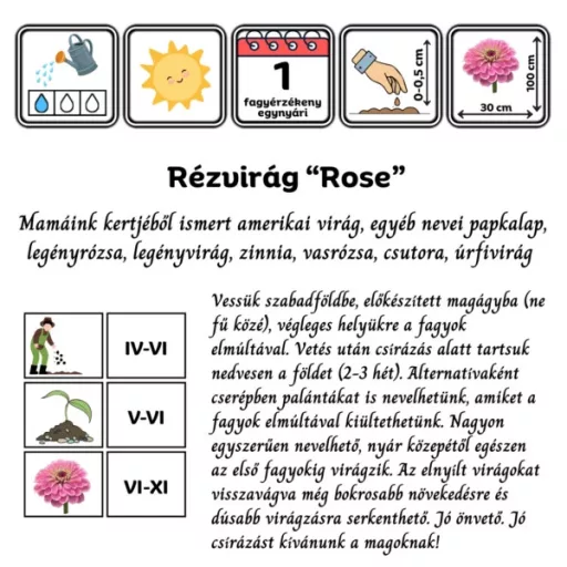 Rézvirág Super Yoga rose – Palántázás