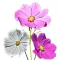Pillangóvirág Sensation Mix 2g (Cosmos bipinnatus Sensation Mix)