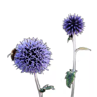 Kék szamárkenyér (Echinops ritro) (vetőmag) – Palántázás