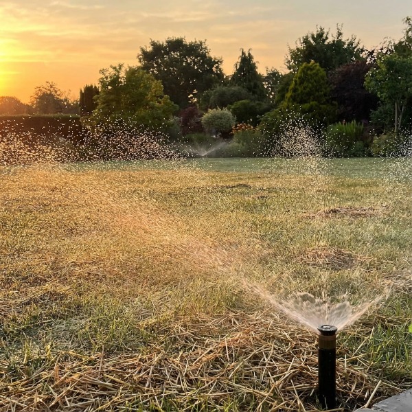 Hogyan öntözzük az új füvesítést? A 3 hetes szabály