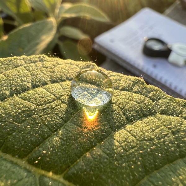 Megégeti-e a nap a vizes leveleket? – A lencse-effektus mítosza