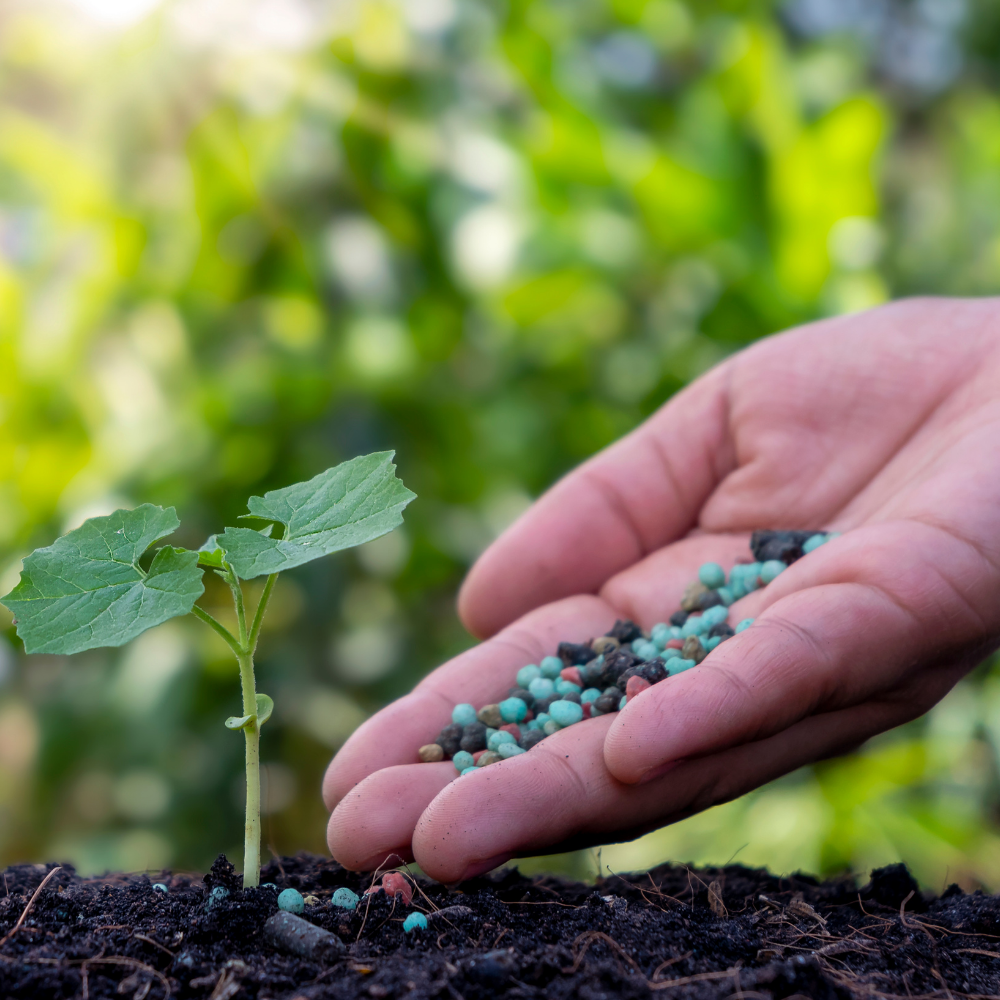 Alapozzuk meg a jó termést - mikor és hogyan trágyázzuk a földet?