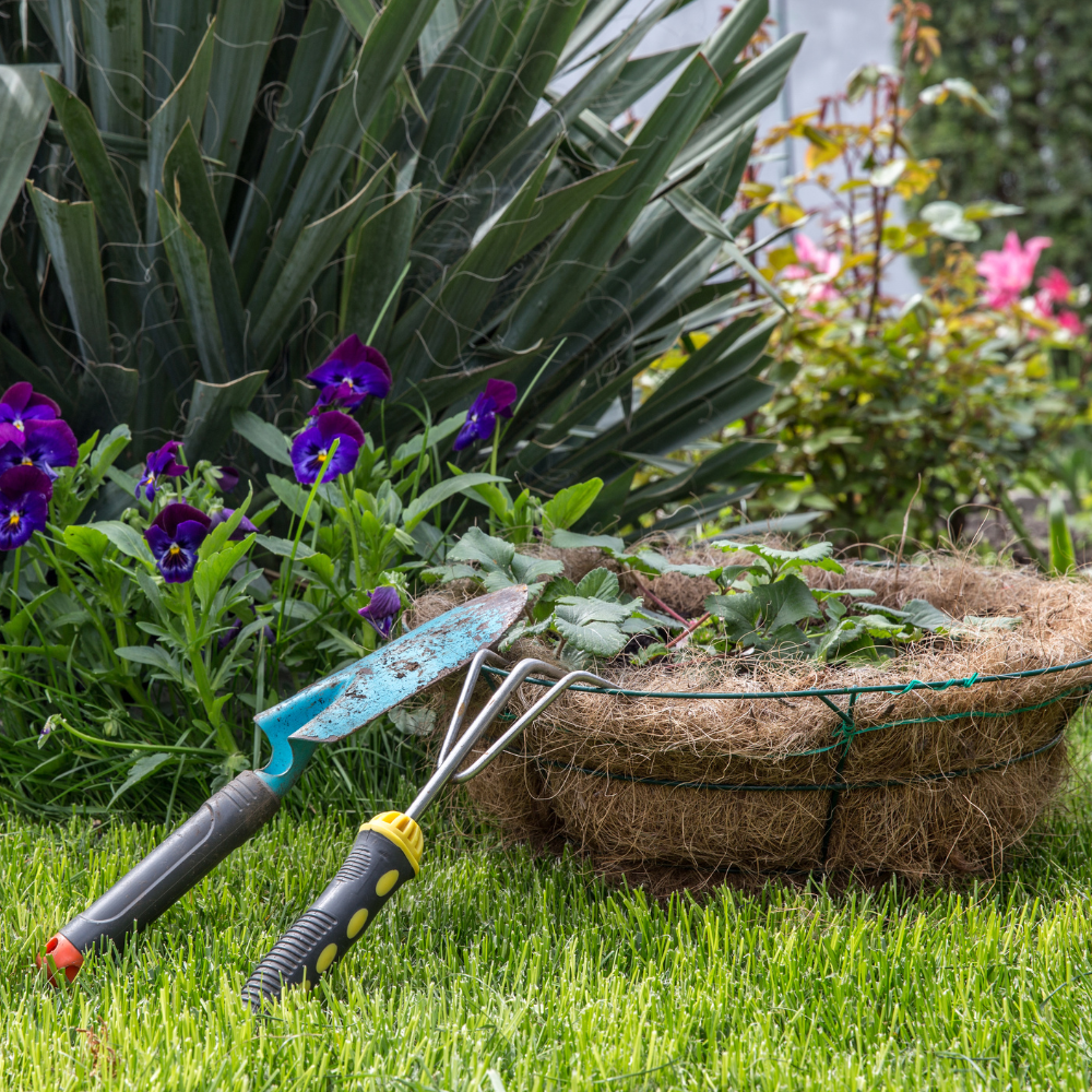 Őszi kerttakarítás – rend és tisztaság a kertben