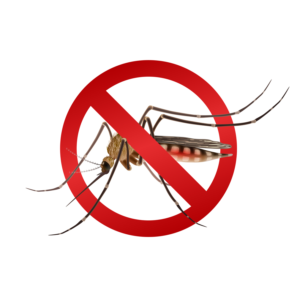 Szúnyogriasztók, darázscsapdák, hogyan legyen nyugodt a kerti ebéd, buli – rovarok nélkül