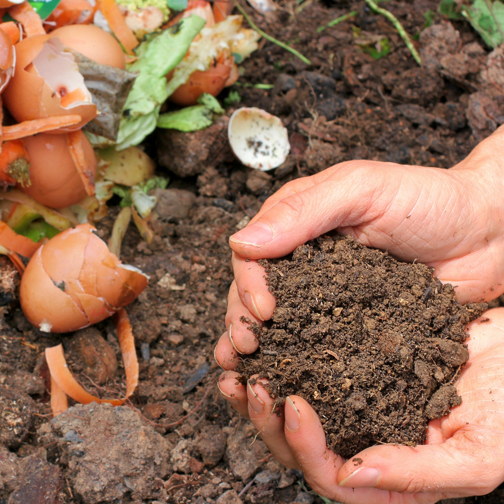 Természetes tápanyagok és trágyázás a kertben: a fenntartható növénytermesztés alapjai